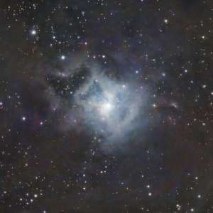 Iris Nebula
