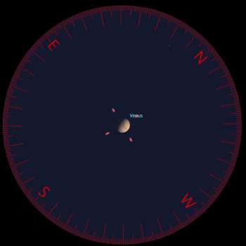 Venus in a telescope