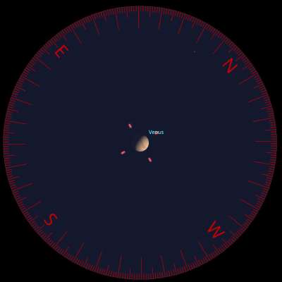 Venus in a telescope