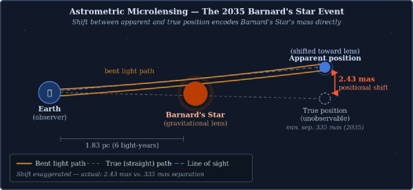 How astrometric microlensing works: Barnard’s Star’s gravity deflects the apparent position of the background star. The size of the shift reveals the lensing star’s mass.