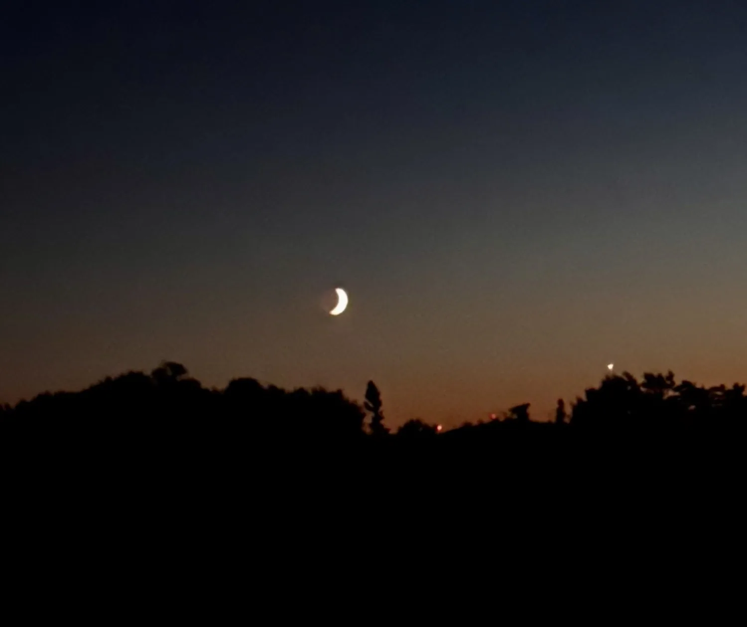 Moon with Venus at the tree line