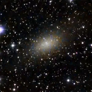 NGC 147 (C 17)