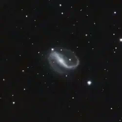 NGC 7479 (C44)