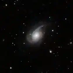 NGC 772